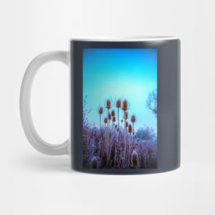 Teasel Heads In the Frost Mug